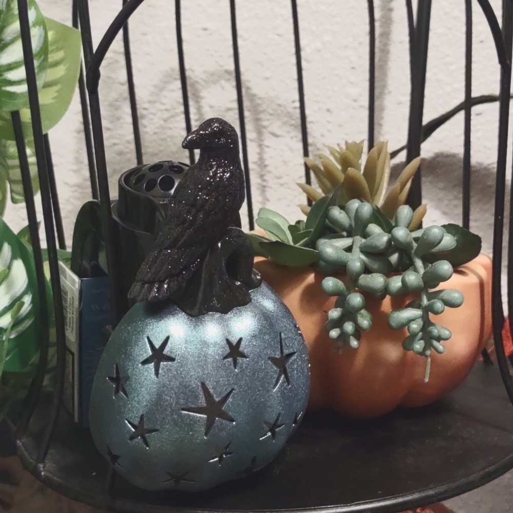🐦‍⬛ BBW glitter raven wallflower with blue shimmer pumpkin and light up stars🎃